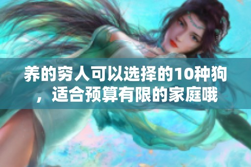 养的穷人可以选择的10种狗，适合预算有限的家庭哦