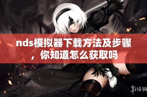 nds模拟器下载方法及步骤，你知道怎么获取吗