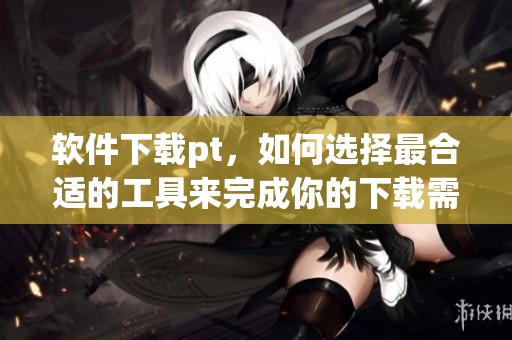 软件下载pt，如何选择最合适的工具来完成你的下载需求