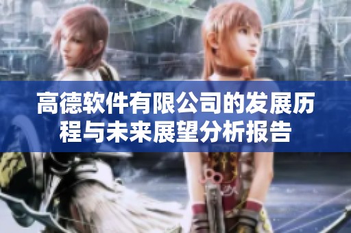 高德软件有限公司的发展历程与未来展望分析报告