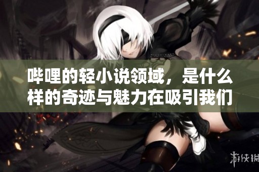 哔哩的轻小说领域，是什么样的奇迹与魅力在吸引我们呢