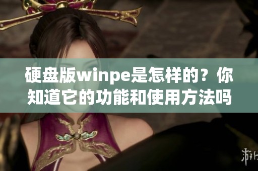 硬盘版winpe是怎样的？你知道它的功能和使用方法吗
