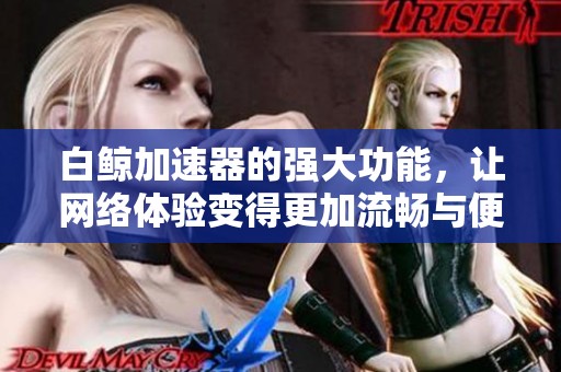 白鲸加速器的强大功能，让网络体验变得更加流畅与便捷