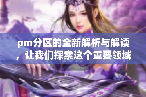 pm分区的全新解析与解读，让我们探索这个重要领域的奥秘与应用