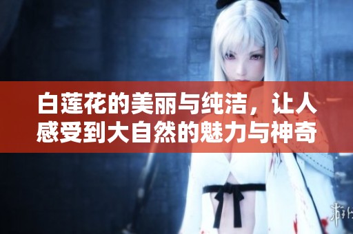 白莲花的美丽与纯洁，让人感受到大自然的魅力与神奇