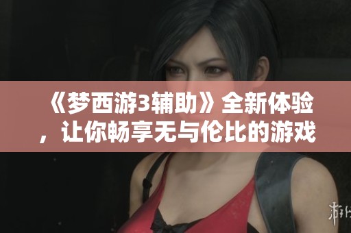 《梦西游3辅助》全新体验，让你畅享无与伦比的游戏乐趣