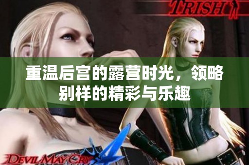 重温后宫的露营时光，领略别样的精彩与乐趣