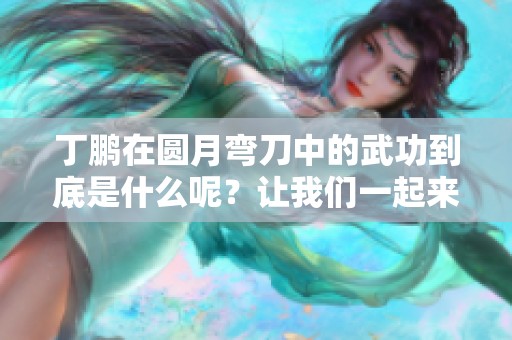 丁鹏在圆月弯刀中的武功到底是什么呢？让我们一起来探讨一下。
