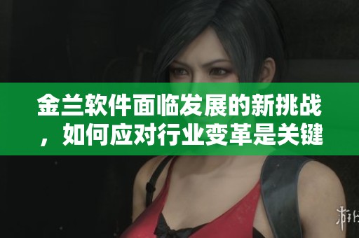 金兰软件面临发展的新挑战，如何应对行业变革是关键问题