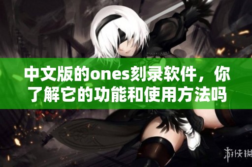 中文版的ones刻录软件，你了解它的功能和使用方法吗