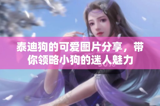 泰迪狗的可爱图片分享，带你领略小狗的迷人魅力