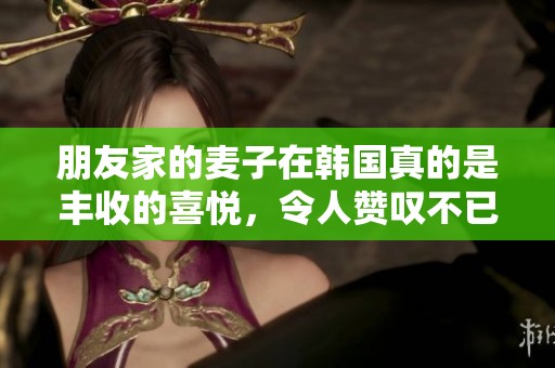 朋友家的麦子在韩国真的是丰收的喜悦，令人赞叹不已。