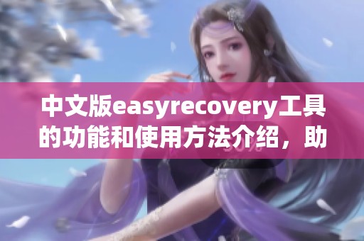 中文版easyrecovery工具的功能和使用方法介绍，助你轻松恢复数据