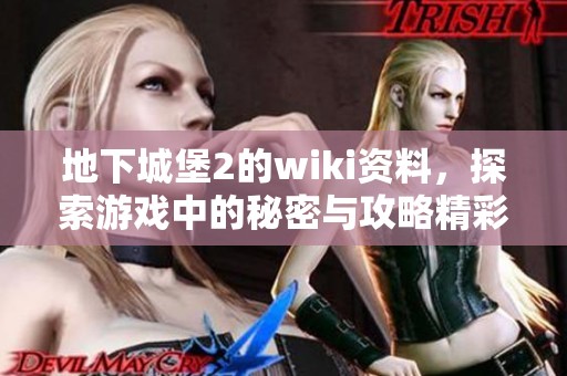 地下城堡2的wiki资料，探索游戏中的秘密与攻略精彩内容