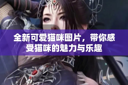 全新可爱猫咪图片，带你感受猫咪的魅力与乐趣