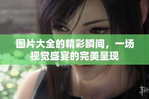 图片大全的精彩瞬间，一场视觉盛宴的完美呈现