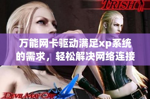 万能网卡驱动满足xp系统的需求，轻松解决网络连接问题