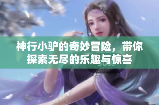 神行小驴的奇妙冒险，带你探索无尽的乐趣与惊喜