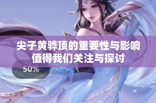 尖子黄骅顶的重要性与影响值得我们关注与探讨