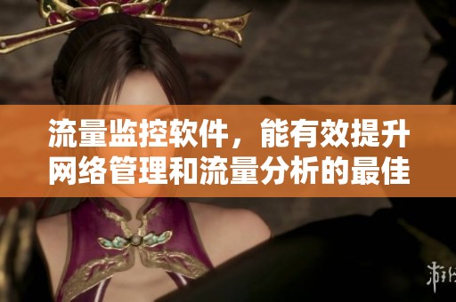 流量监控软件，能有效提升网络管理和流量分析的最佳选择
