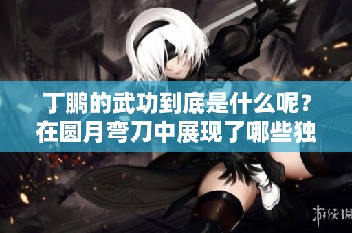 丁鹏的武功到底是什么呢？在圆月弯刀中展现了哪些独特技巧？