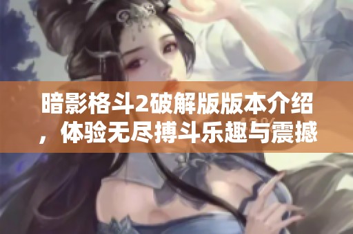 暗影格斗2破解版版本介绍，体验无尽搏斗乐趣与震撼刺激！