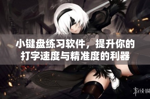 小键盘练习软件，提升你的打字速度与精准度的利器