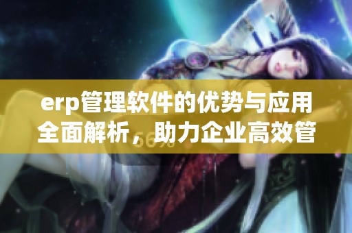 erp管理软件的优势与应用全面解析，助力企业高效管理与决策