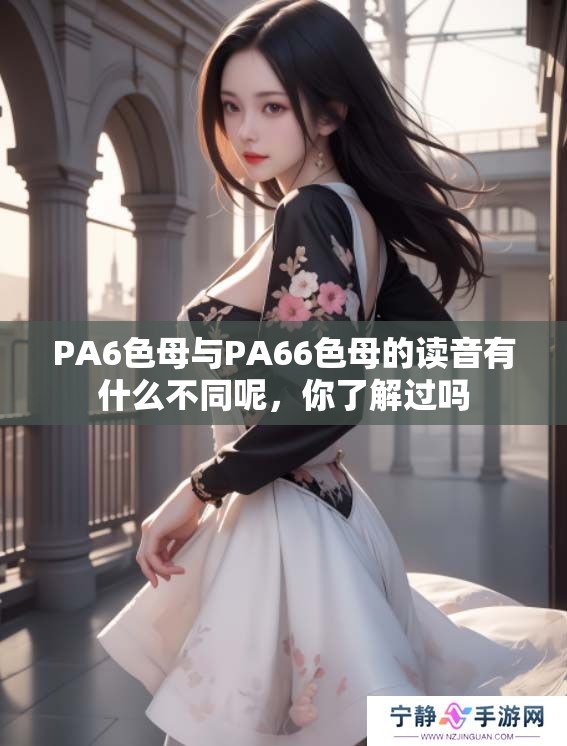 PA6色母与PA66色母的读音有什么不同呢，你了解过吗
