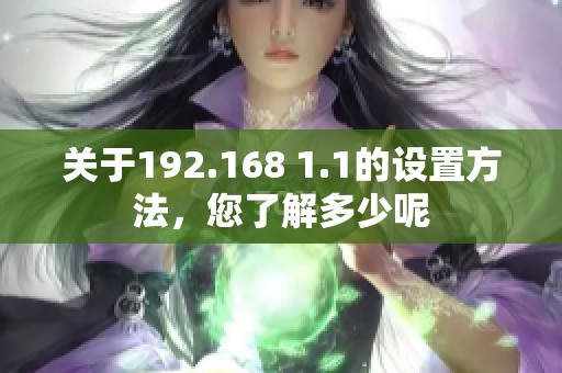 关于192.168 1.1的设置方法，您了解多少呢