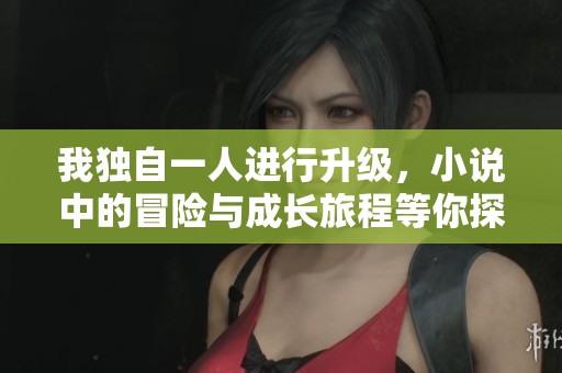 我独自一人进行升级，小说中的冒险与成长旅程等你探索