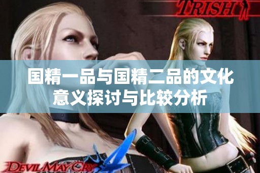 国精一品与国精二品的文化意义探讨与比较分析