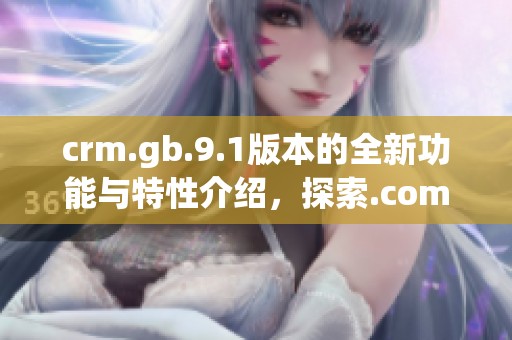 crm.gb.9.1版本的全新功能与特性介绍，探索.com的无限可能性