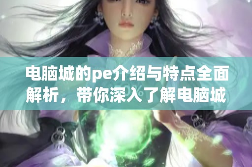电脑城的pe介绍与特点全面解析，带你深入了解电脑城的pe魅力所在