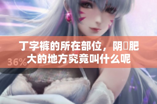 丁字裤的所在部位，阴脣肥大的地方究竟叫什么呢