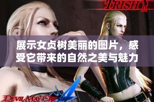 展示女贞树美丽的图片，感受它带来的自然之美与魅力