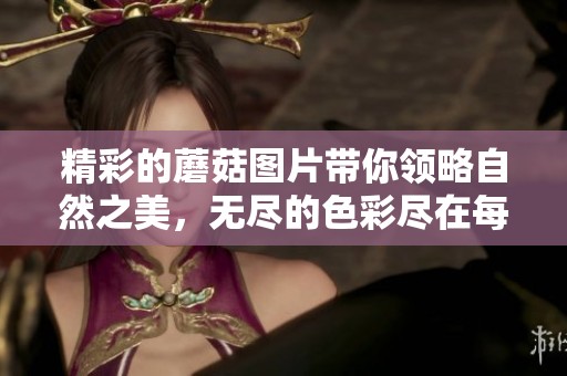 精彩的蘑菇图片带你领略自然之美，无尽的色彩尽在每一帧中展现
