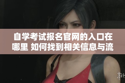 自学考试报名官网的入口在哪里 如何找到相关信息与流程