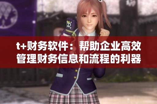 t+财务软件：帮助企业高效管理财务信息和流程的利器