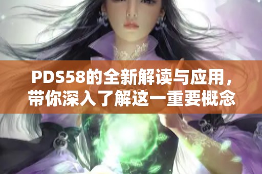 PDS58的全新解读与应用，带你深入了解这一重要概念与技术。