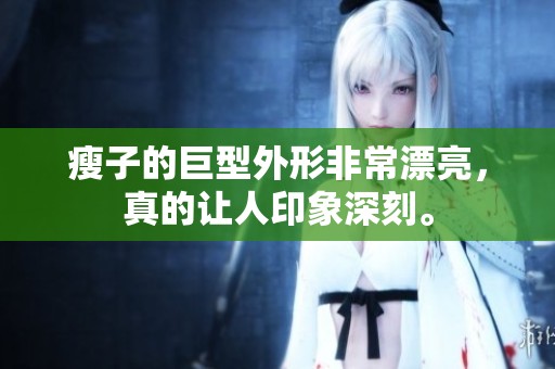 瘦子的巨型外形非常漂亮，真的让人印象深刻。