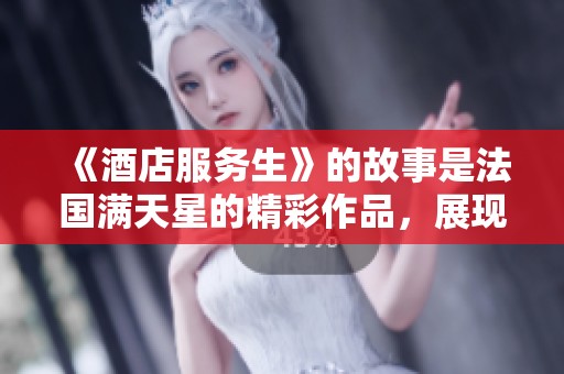 《酒店服务生》的故事是法国满天星的精彩作品，展现了生活的多样性和人性的光辉