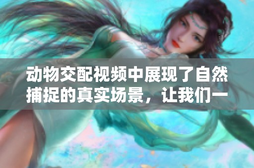 动物交配视频中展现了自然捕捉的真实场景，让我们一起观察动物的繁衍过程。