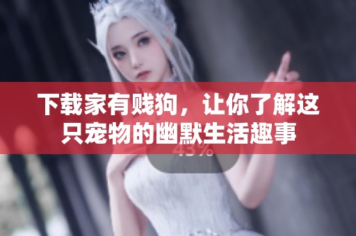 下载家有贱狗，让你了解这只宠物的幽默生活趣事
