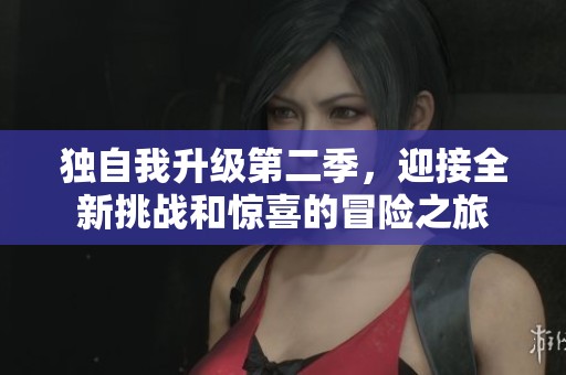 独自我升级第二季，迎接全新挑战和惊喜的冒险之旅