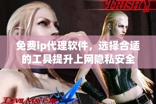 免费ip代理软件，选择合适的工具提升上网隐私安全