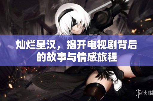 灿烂星汉，揭开电视剧背后的故事与情感旅程