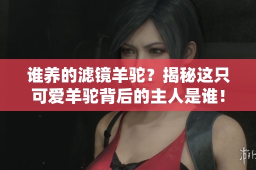 谁养的滤镜羊驼？揭秘这只可爱羊驼背后的主人是谁！