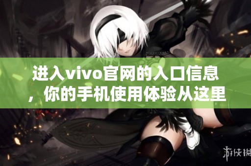 进入vivo官网的入口信息，你的手机使用体验从这里开始提升