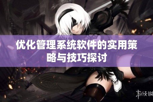 优化管理系统软件的实用策略与技巧探讨